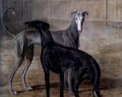 罗拉和波西亚 - 雅克·劳伦特·阿加斯